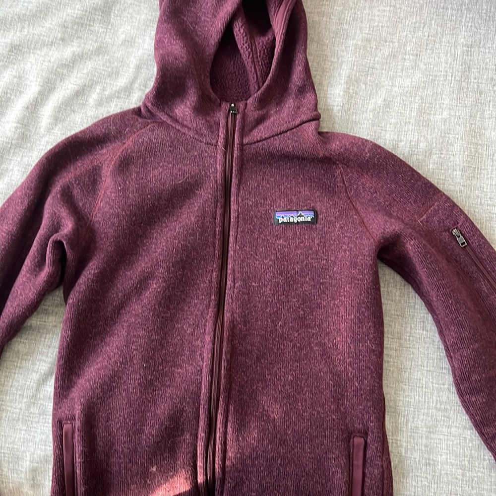 Patagonia Better Sweater Fleece Hoody XS Hyssop Purple